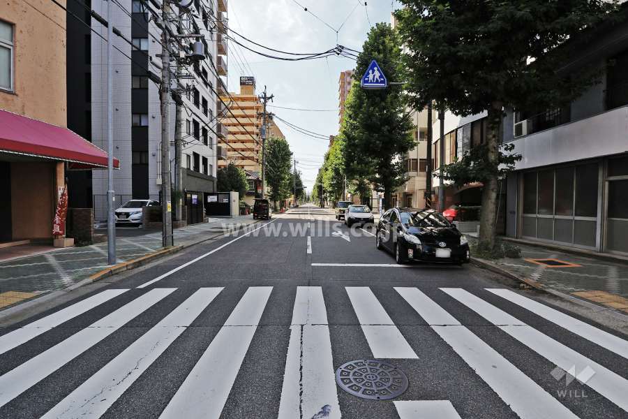 敷地西側の前面道路（北側から）