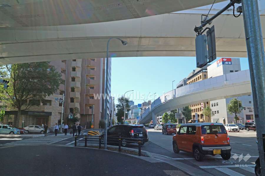 敷地西側の前面道路（北側から）