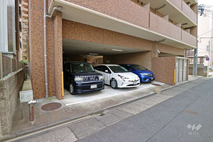 敷地西側の前面道路（南側から）