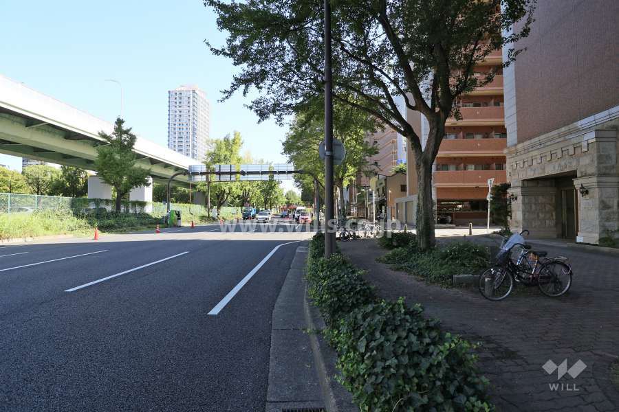 敷地北側の前面道路（西側から）