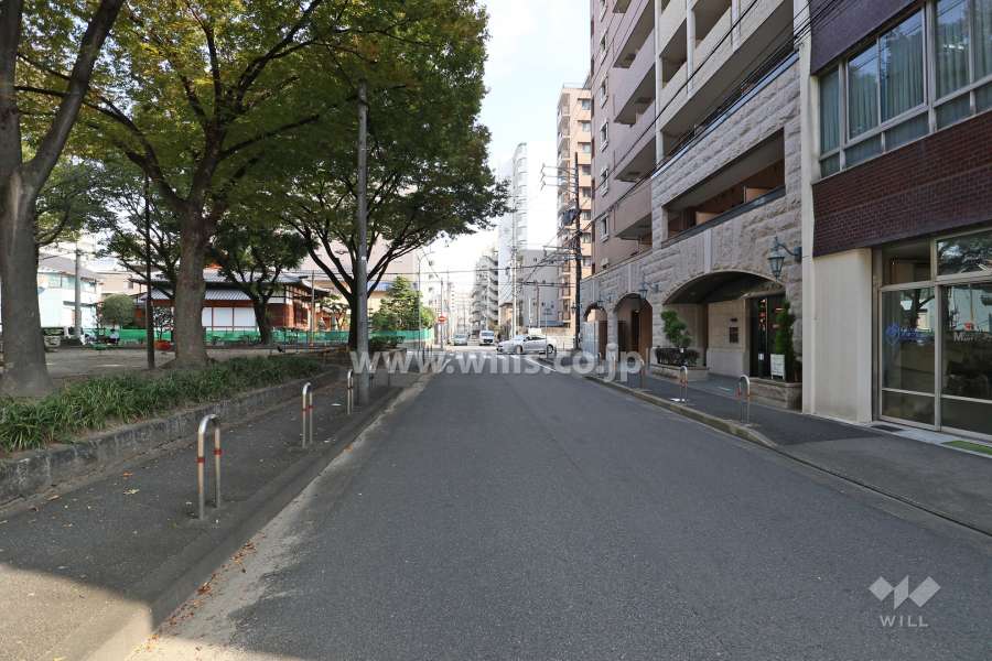 敷地北側の前面道路（西側から）