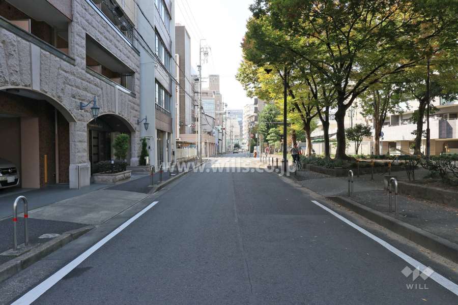 敷地北側の前面道路（東側から）