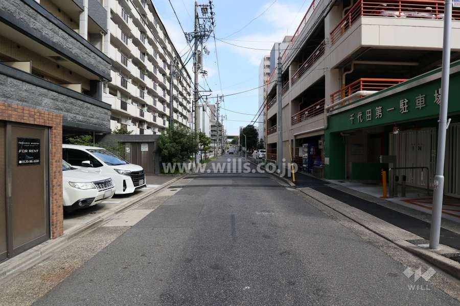 敷地南側の前面道路（西側から）