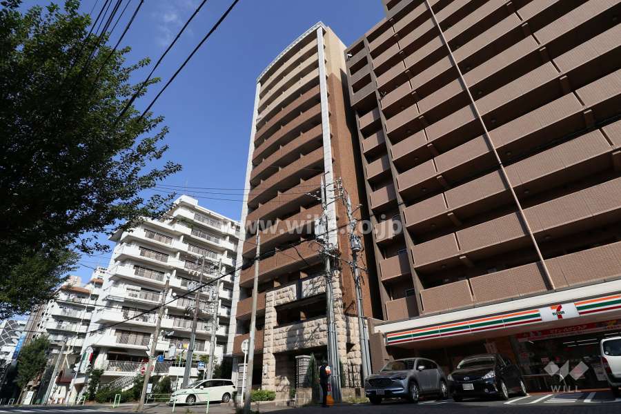 プレサンスSAKAEリバースタイルの外観（南西側から）