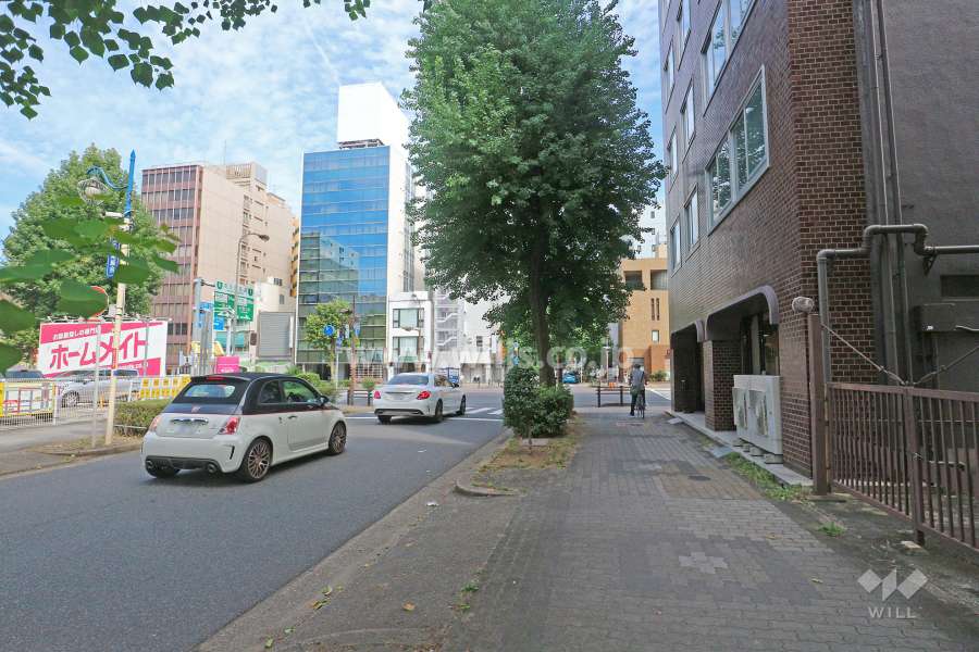 敷地北側の前面道路（西側から）