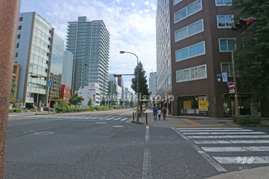 敷地東側の前面道路（北側から）