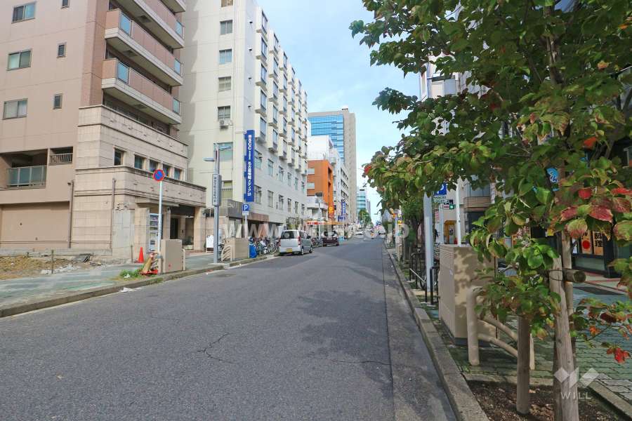 敷地東側の前面道路（南側から）