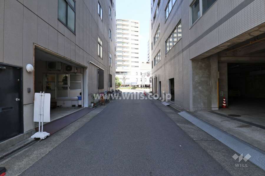 敷地北側の前面道路（西側から）