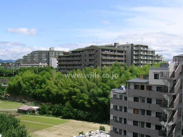 敷地の南側と西側には竹林と田畑が広がっています