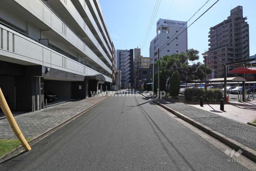 敷地西側の前面道路（北側から）
