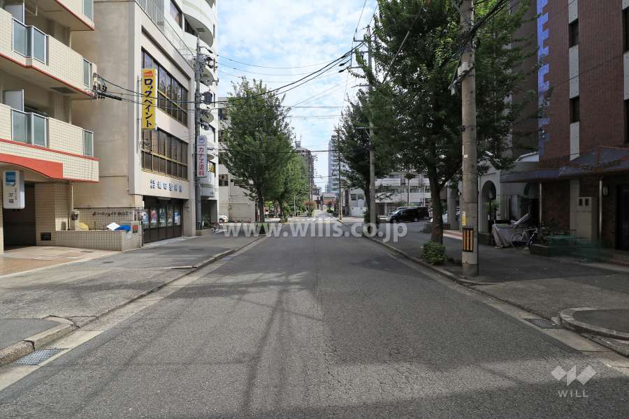 敷地北側の前面道路（西側から）