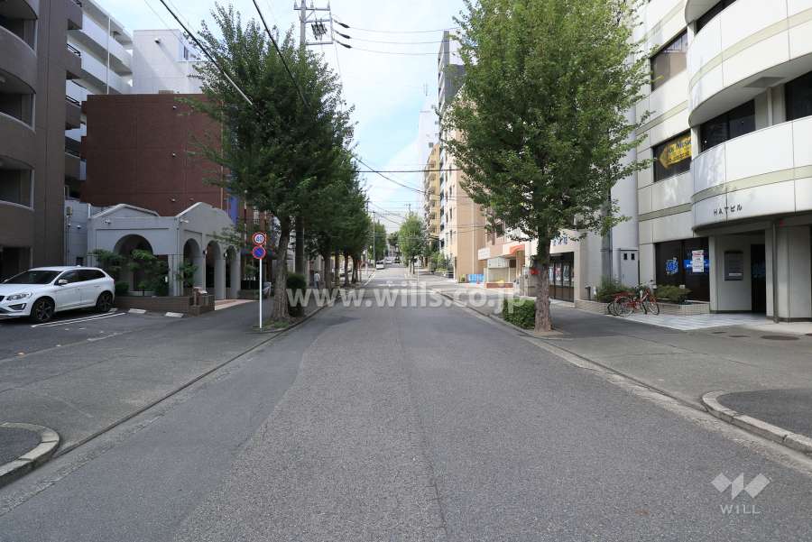 敷地南側の前面道路（西側から）