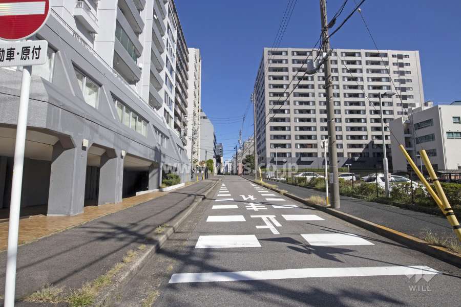 敷地南側の前面道路（西側から）