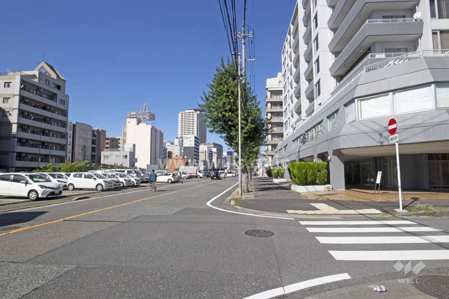 敷地西側の前面道路（南側から）
