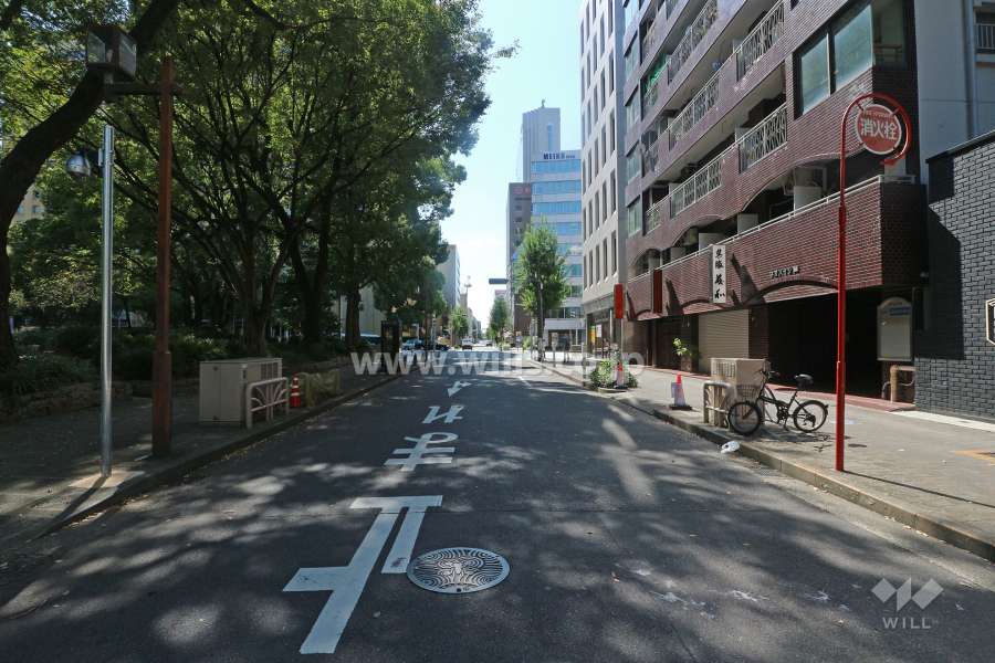 敷地東側の前面道路（北側から）