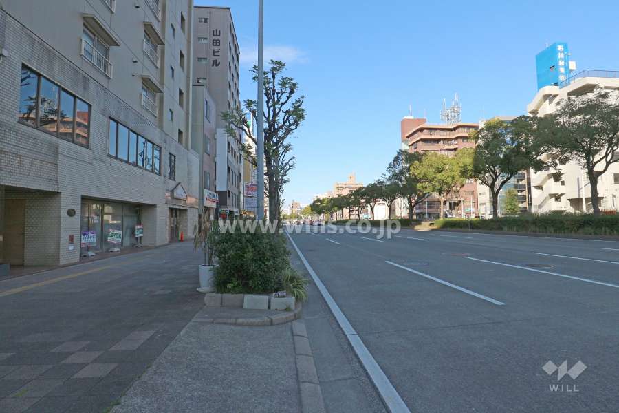 敷地東側の前面道路（南側から）