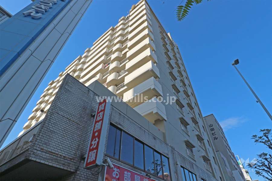 金山グランドハイツの外観（南東側から）