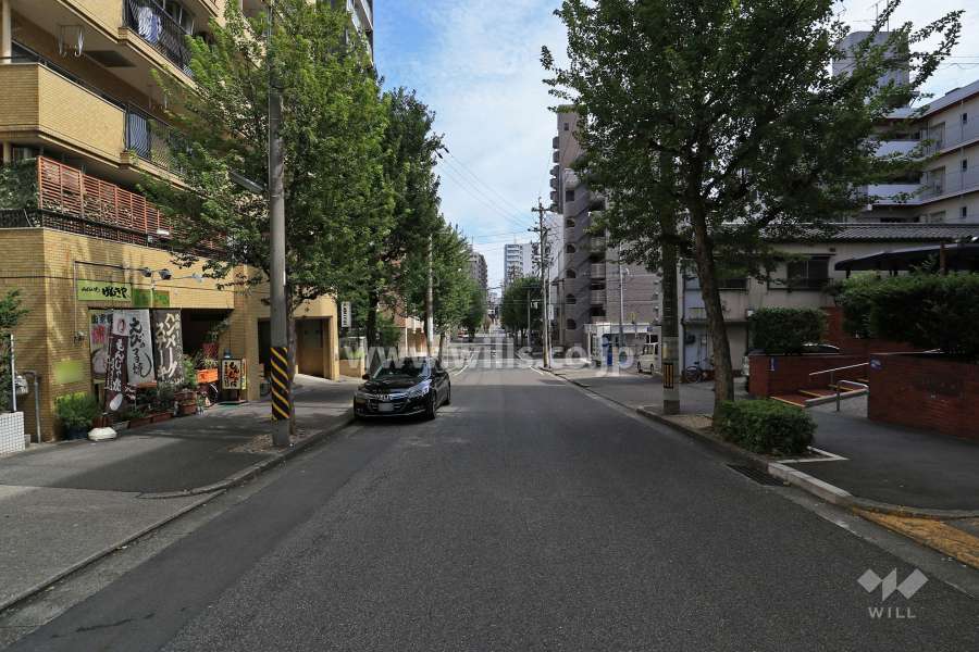敷地北側の前面道路（西側から）