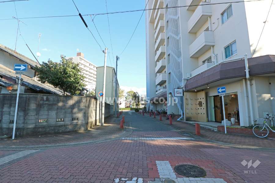 敷地北側の前面道路（西側から）