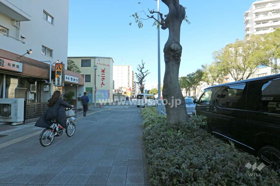 敷地東側の前面道路（南側から）