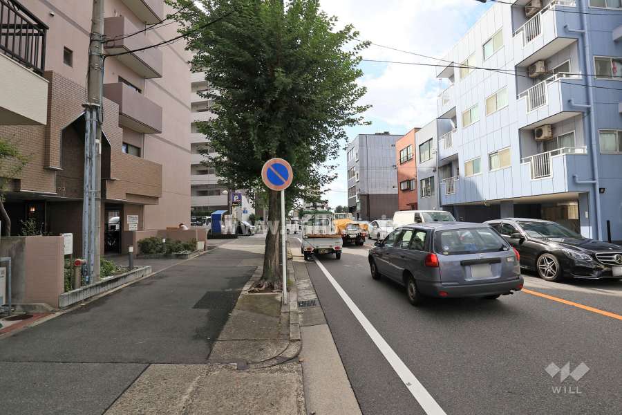 敷地西側の前面道路（北側から）