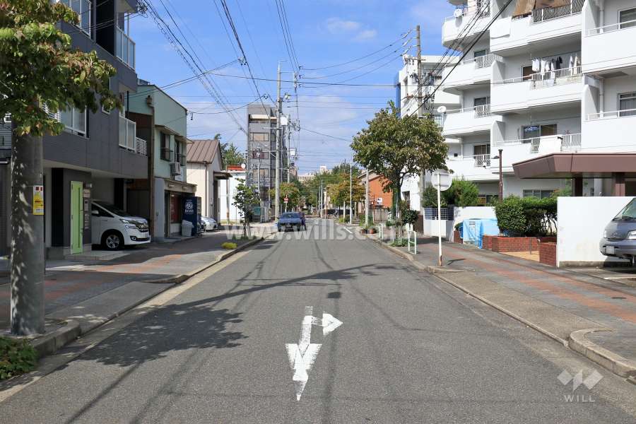 敷地西側の前面道路（南側から）
