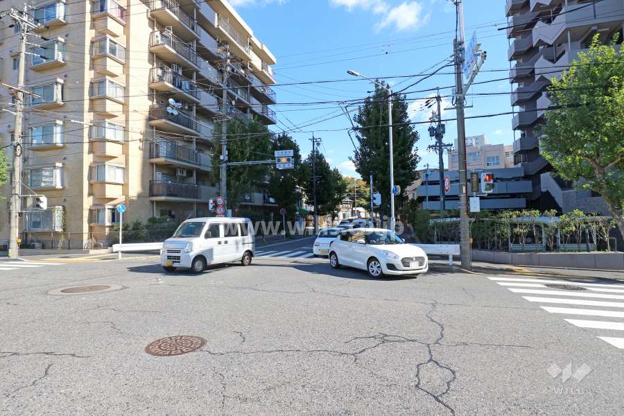敷地南側の前面道路（西側から）