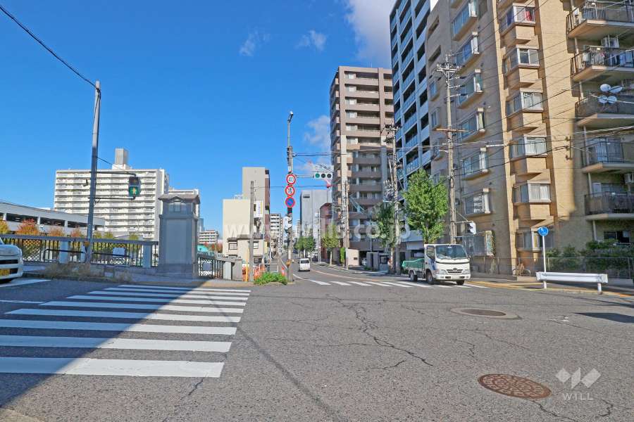 敷地西側の前面道路（南側から）