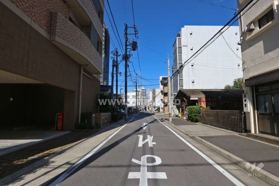 敷地東側の前面道路（南側から）