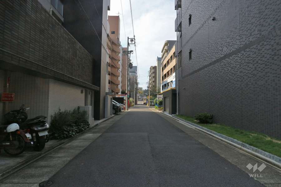 敷地北側の前面道路（東側から）
