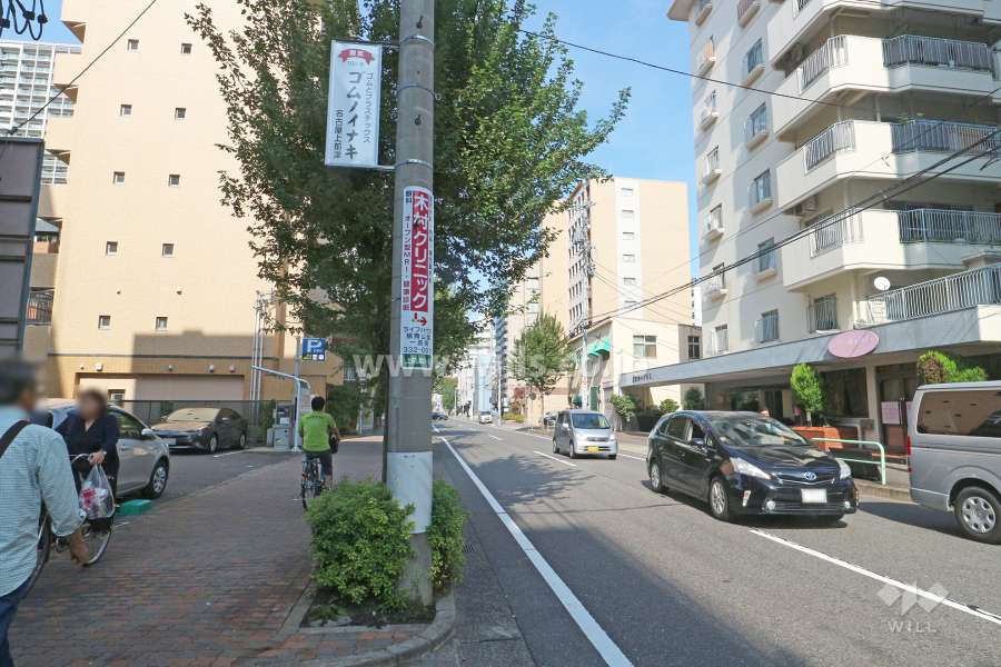 敷地西側の前面道路（南側から）