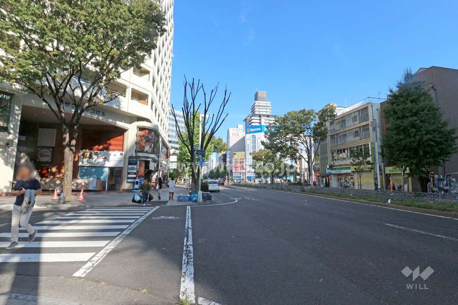 敷地南側の前面道路（西側から）