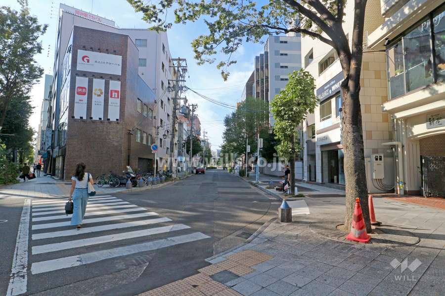 敷地南西側の前面道路（南東側から）