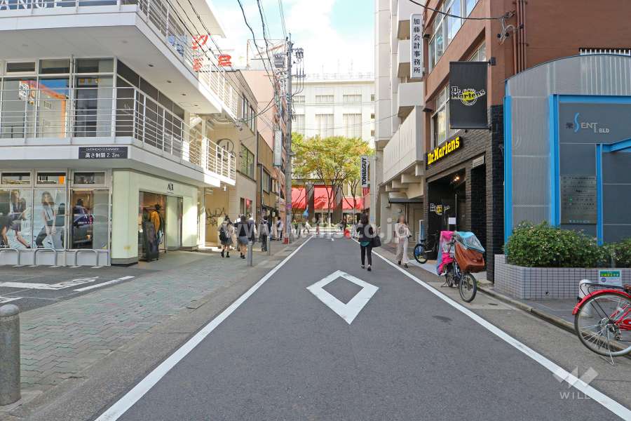 敷地北側の前面道路（西側から）