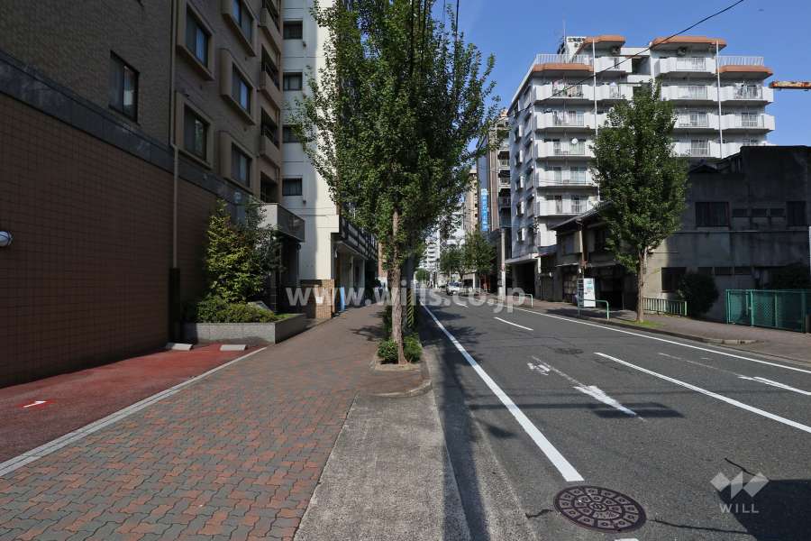 敷地東側の前面道路（南側から）