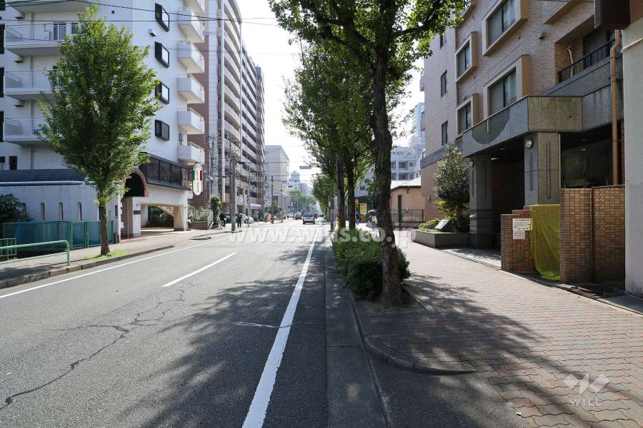 敷地東側の前面道路（北側から）