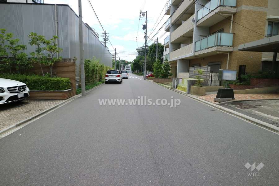 敷地北側の前面道路（東側から）