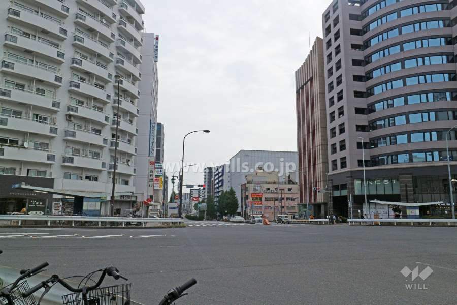 敷地南側の前面道路（西側から）