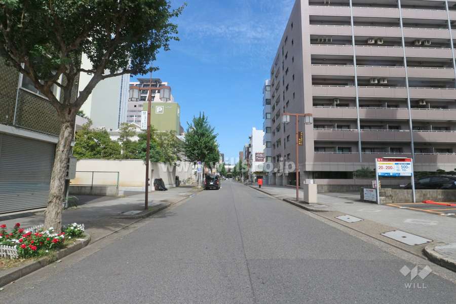 敷地西側の前面道路（南側から）