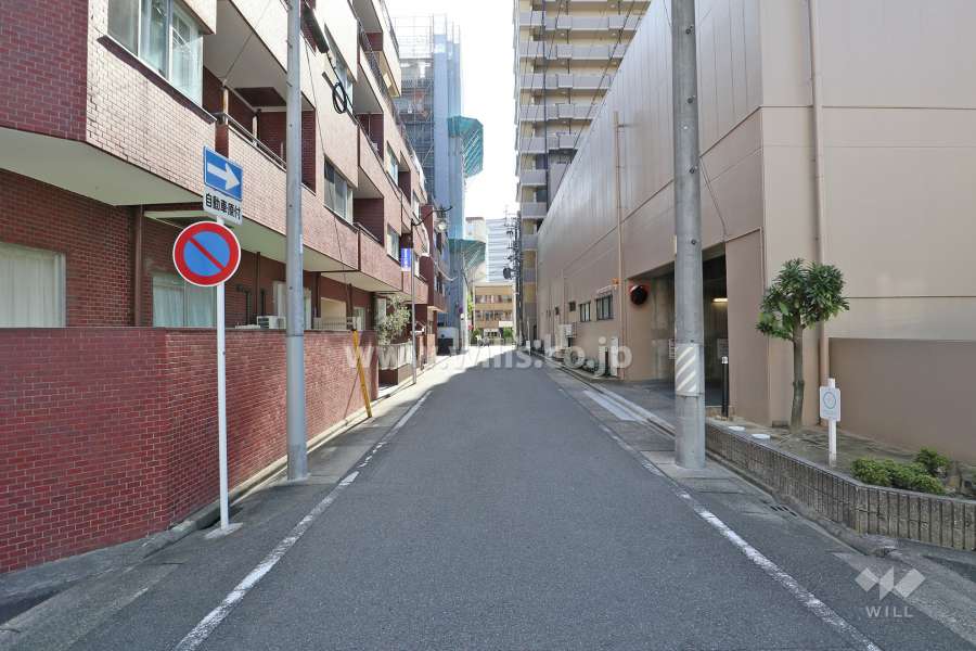 敷地西側の前面道路（北側から）