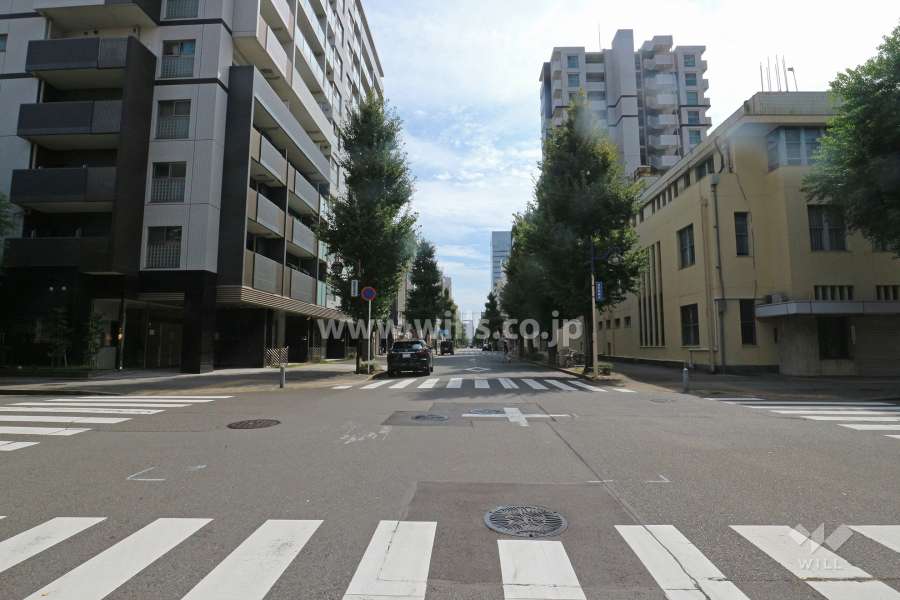 敷地西側の前面道路（北側から）