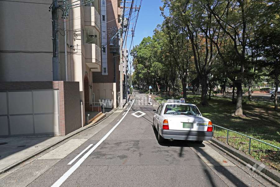 敷地西側の前面道路（北側から）