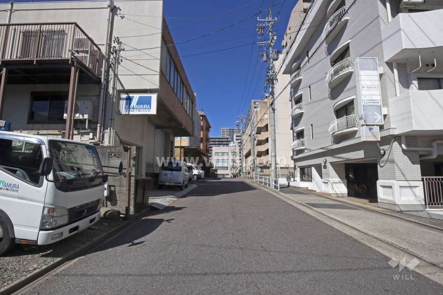 敷地西側の前面道路（南側から）