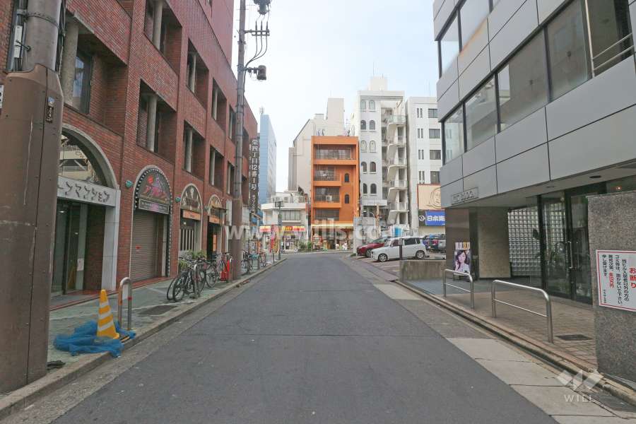 敷地北側の前面道路（東側から）