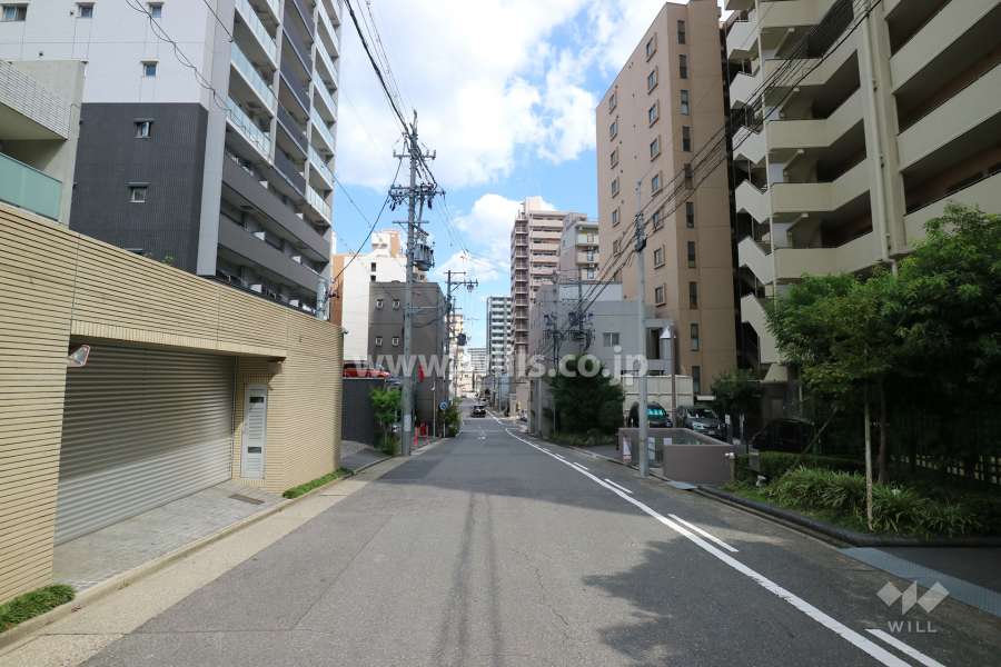 敷地北側の前面道路（西側から）