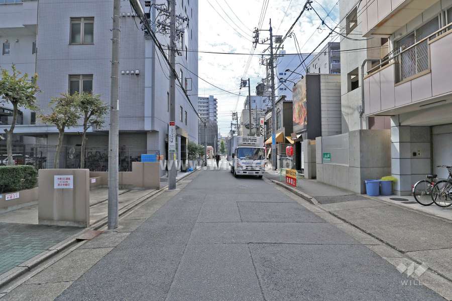 敷地西側の前面道路（北側から）