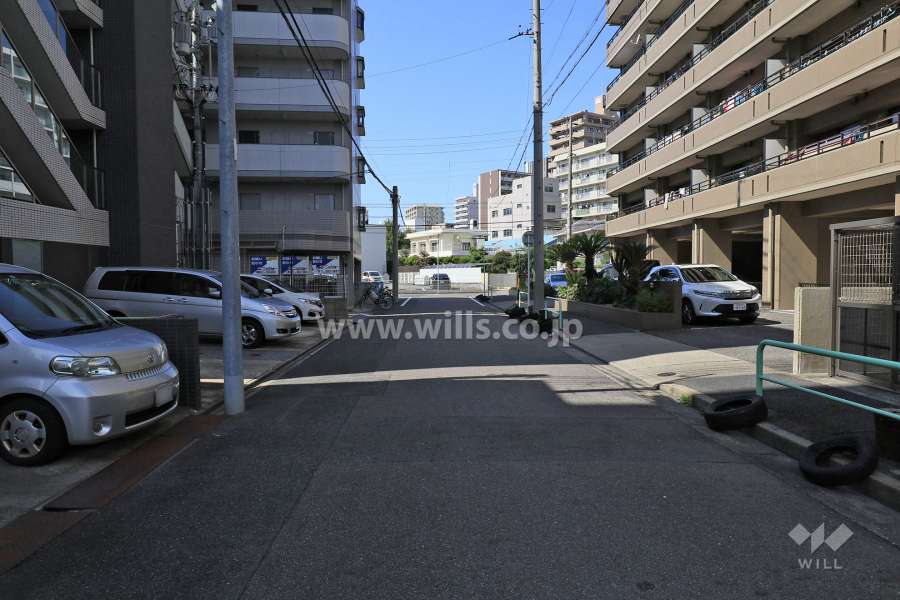 敷地南西側の前面道路（南東側から）