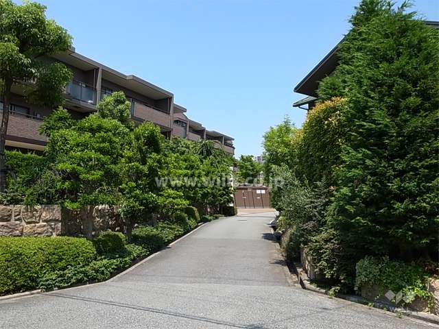 敷地南側の前面道路。周辺は一戸建てと低層のマンションが立ち並ぶ住宅地です。