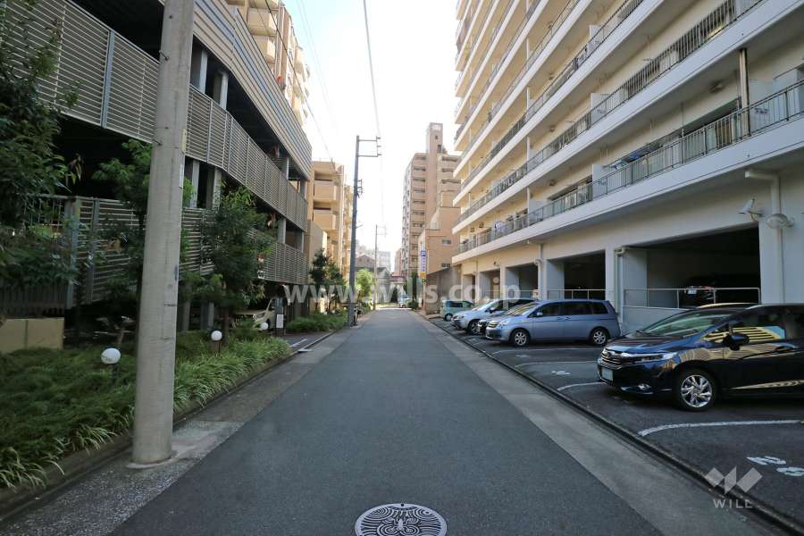 敷地東側の前面道路（北側から）