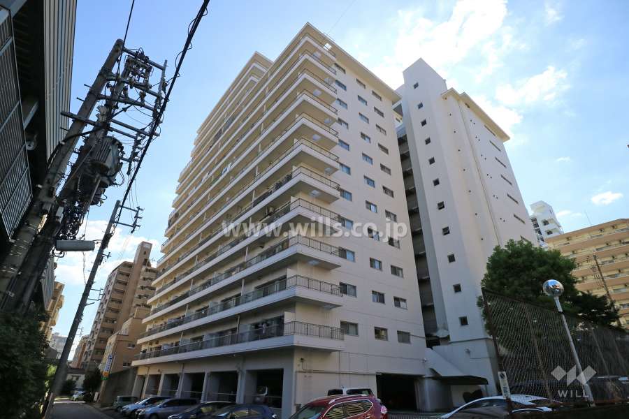 ファミール富士見の外観（北東側から）